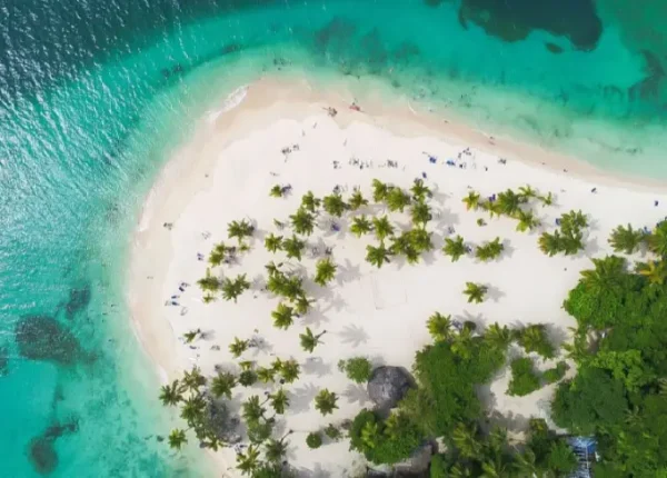 A bird 's eye view of an island with palm trees.