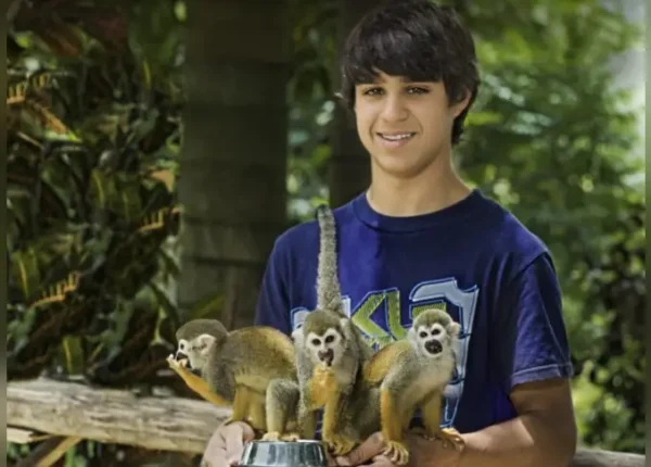 A boy holding three monkeys in his hands.