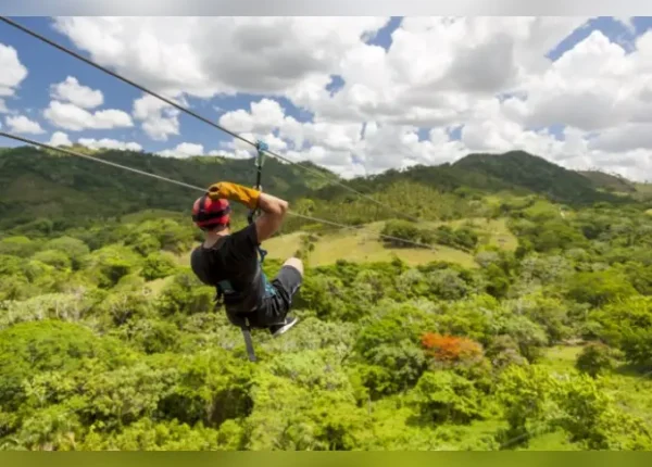 A person is ziplining through the trees.