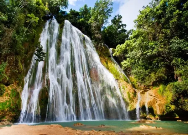 A waterfall with trees in the background