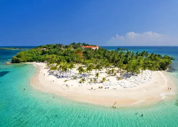 A sandy beach with palm trees and blue water.