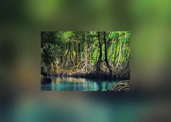 A river with trees in the background