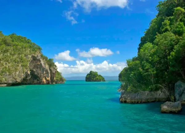 A view of the ocean with some trees in it