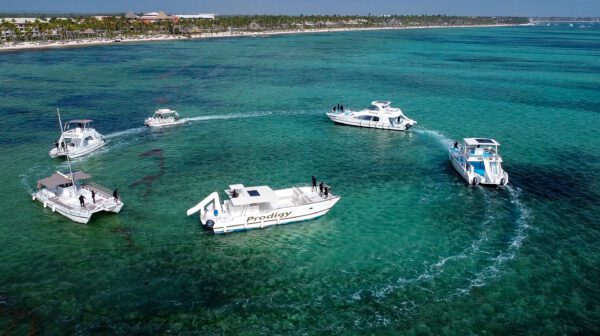 Three boats in the water near a shore.